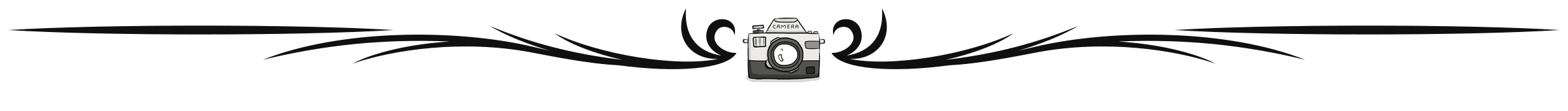 Camera Logo - Candid Photographer in Udaipur, Ajmer, Bikaner, Jodhpur